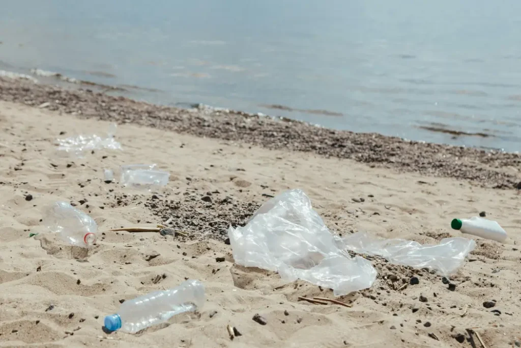 pollution plastique mer saison bleue