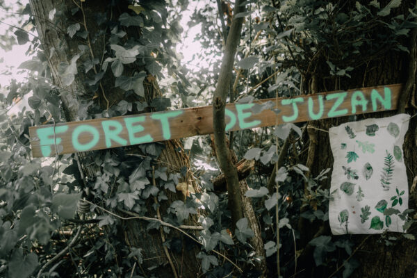 Sauver la forêt de Juzan