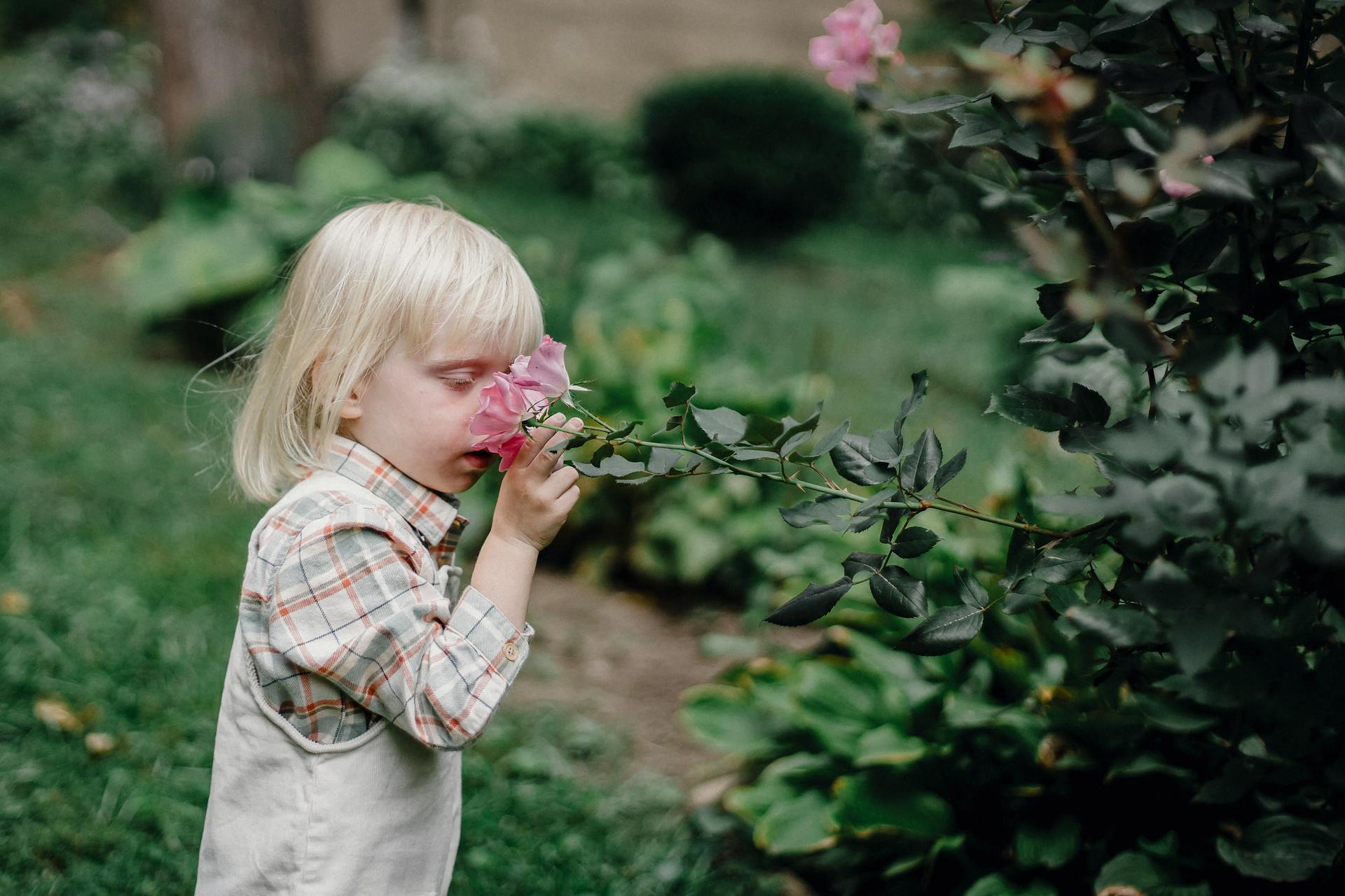 bébé tout-petit jardin sensation découverte petite enfance
